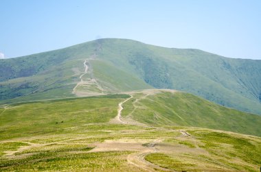 Yeşil güneşli, Karpat Dağları yaz yatay wi hills