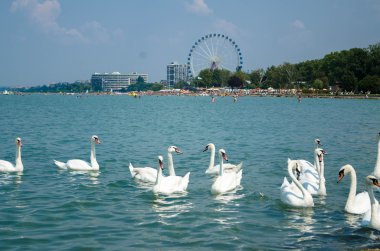 Kuğu akın th dönme dolap ile Siofok Balaton Gölü üzerinde