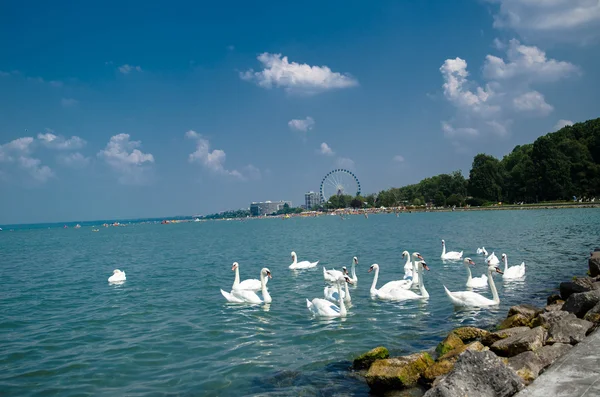 Kuğu akın th dönme dolap ile Siofok Balaton Gölü üzerinde