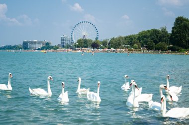 Kuğu akın th dönme dolap ile Siofok Balaton Gölü üzerinde