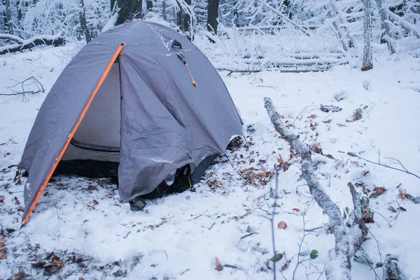 Camping in gray tent in winter forest — Stock Photo, Image