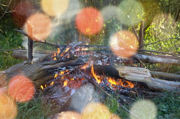 Grande lareira com fogo vermelho e azul quente nas folhas verdes b — Fotografia de Stock