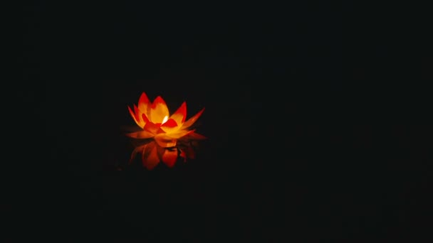 glowing paper lantern a flower shape floats on water flower shaped paper lanterns