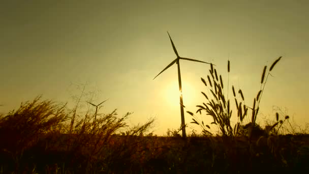 Turbina eolica con tramonto . — Video Stock