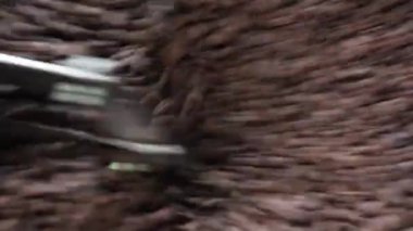 Kahve kavurma. Atış kapatın.