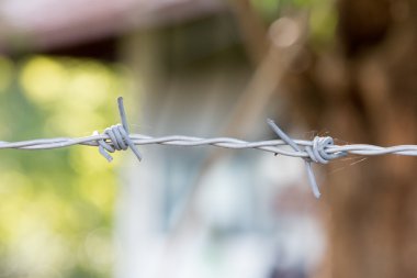Barb wire fragment