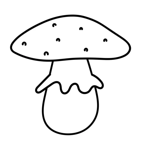 Cogumelo Venenoso Amanita Toadstool Ilustração Vetorial Estilo Doodle — Fotografia de Stock