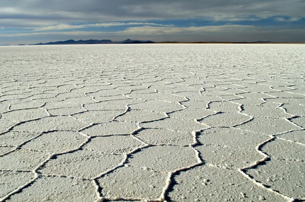 Bolivya Uyuni şehir yakınındaki tuz çölü. Güney Amerika.