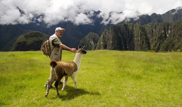 Turist ve lama