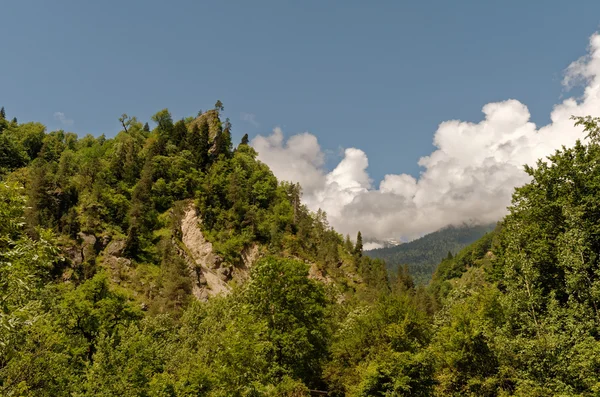 Abhazya