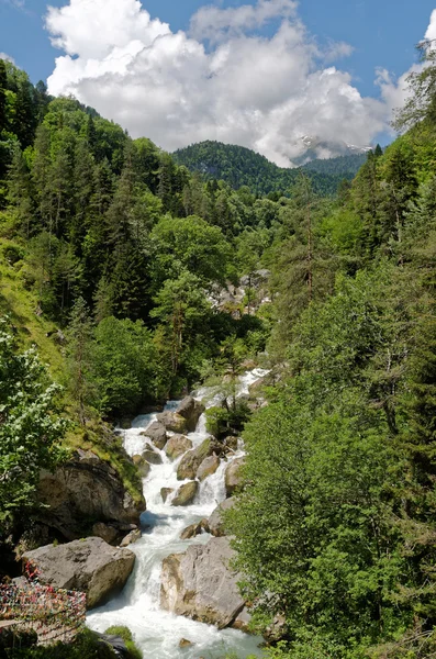 Abhazya