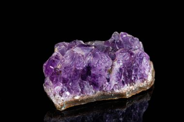 Siyah arka plan üzerinde makro mineral taşı Ametistleri