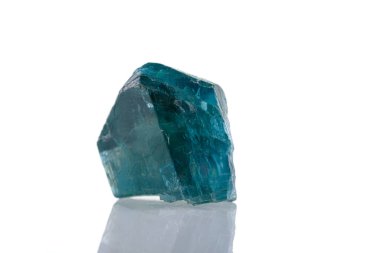Makro mineral taşı Beyaz arkaplandaki Apatite