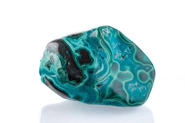 Beyaz arka planda, makro mineral taşı chrysocolla