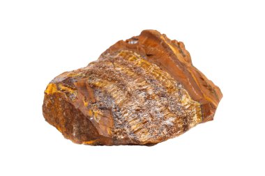 A natural tiger's eye stone on an isolated background, featuring a golden-brown hue with striking chatoyancy. Perfect for decor with its unpolished, earthy charm.