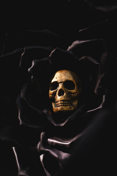 Conceptual photo representing dark beauty and mortality. Golden skull surrounded by soft black petals. Elegant horror aesthetic for fine art, fashion or Halloween designs.