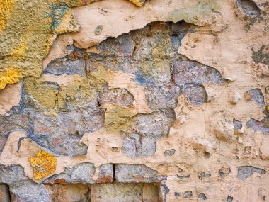 Alçı ve boya katmanlı eski bir tuğla duvar yaratıcı tasarıma ilham verir. Kırsal dokusu benzersiz bir estetik cazibe getiriyor..