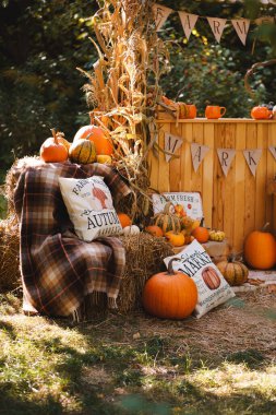 Sonbahar hasat seti, balkabakları, kırsal ahşap standı, saman balyaları, mısır sapları ve ekose battaniye. Sonbahar tatilleri ve kutlamalar için mevsimlik çiftlik evi dekorasyonu.