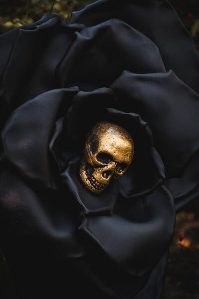 Close-up of a golden skull placed inside a black artificial flower. Dark gothic composition symbolizing mystery, death and luxury. Perfect for Halloween and conceptual art.