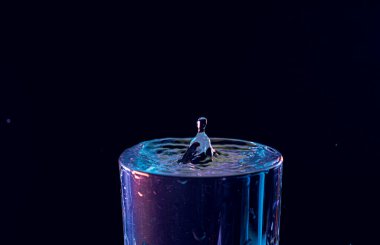 Su damlası düşüyor, makro sıçrama. Doğal ve karanlık bir arkaplanda yakın plan.