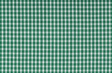 Klasik ekose desenli yeşil ve beyaz kareli kumaşı kapatın. Tekstil tasarımı, moda ve ev dekorasyonu projeleri için ideal.