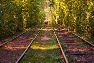 Ormandaki hareketli tramvay