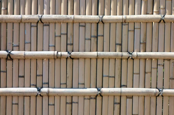 Zaun aus gepflegtem Bambus — Stockfoto