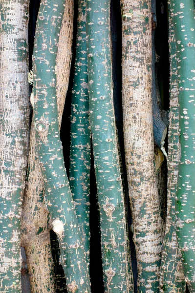 Los objetos de la madera gustativa — Foto de Stock