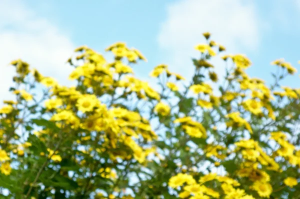 Mavi gökyüzü çiçekleri Parlatıcı