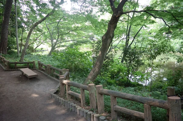 Parque Florestal Bem Conservado Nos Arredores Uma Cidade Densa — Fotografia de Stock