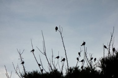 İstasyondaki herkes umumi tuvalette.