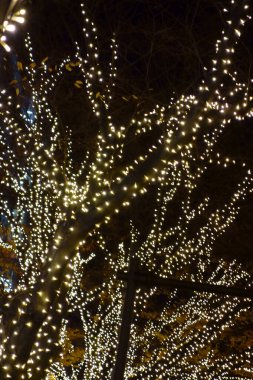 Noel 'de sokakta parıldayan ışık.