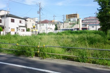 Yaz ortası yerleşim alanı, çimenli boş arazi