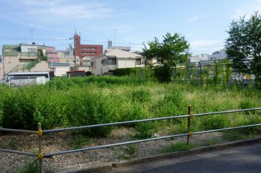 Yaz ortası yerleşim alanı, çimenli boş arazi