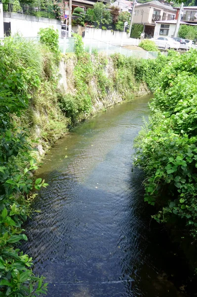 Vie Campagne Modèle Bavardage Ruisseau Coulant Dans État Clair Beau — Photo