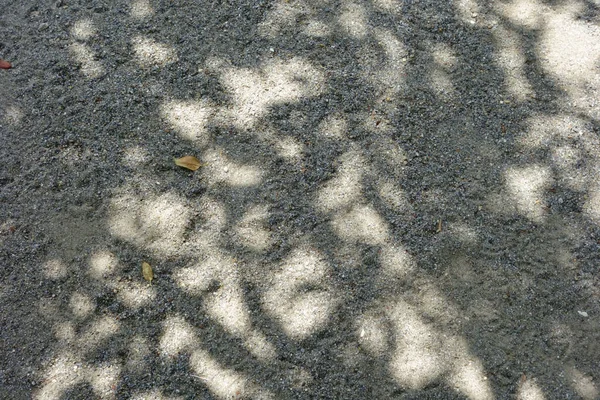強い日差しのある真夏の木々の影 — ストック写真