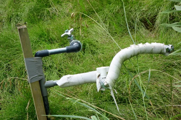 草の中に野生の水サービスのユニークな蛇口 — ストック写真