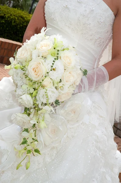 Bruids afbeelding — Stockfoto