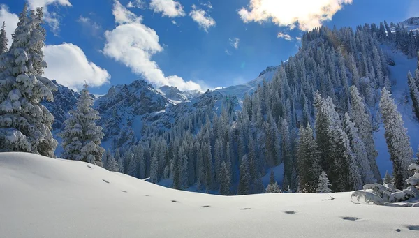 Paysage de montagne en hiver — Photo