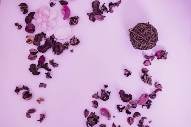       Yapraklarla çevrili bir karmaşa.