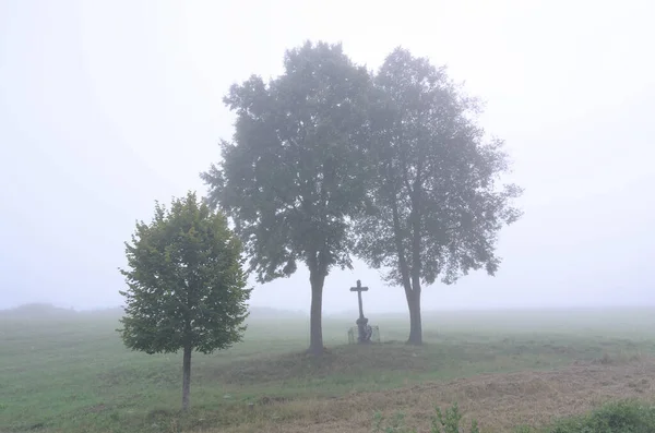 Yalnız mezarı gizemli bir sis kapladı. Etrafında, muhafızlar gibi iki ağaç ölüleri koruyor..