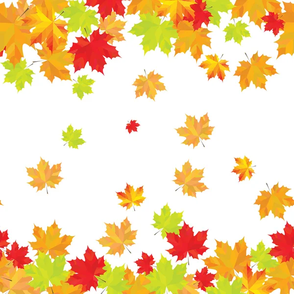 Sonbahar akçaağaç yaprakları