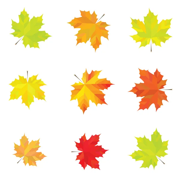 Sonbahar akçaağaç yaprakları