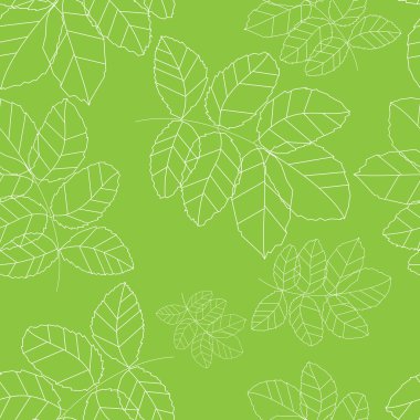 Yeşil yaprakları arka plan üzerinde beyaz bir çerçeve. Vektör çizim