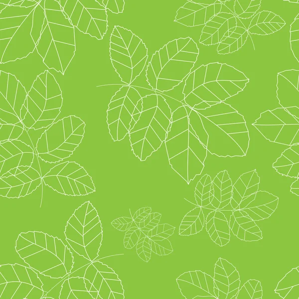 Yeşil yaprakları arka plan üzerinde beyaz bir çerçeve. Vektör çizim