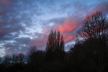 Ormanın kenarında renkli bir güneş doğuyor.