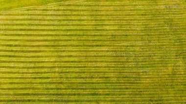 Bir çayırın kenarındaki gübreye yukarıdan bak 