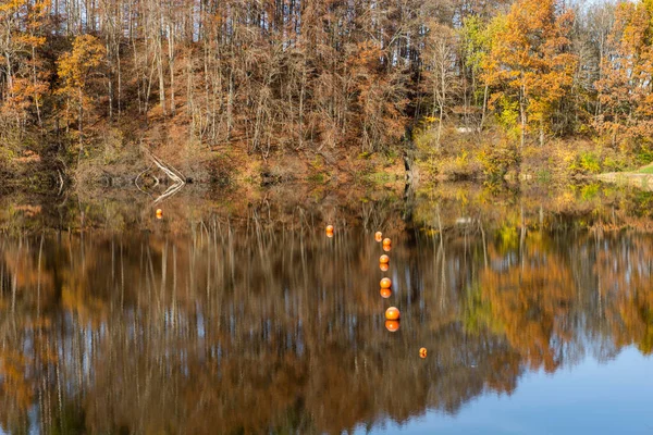 Folhas Outono São Refletidas Água Reservatório Windach Baviera — Fotografia de Stock