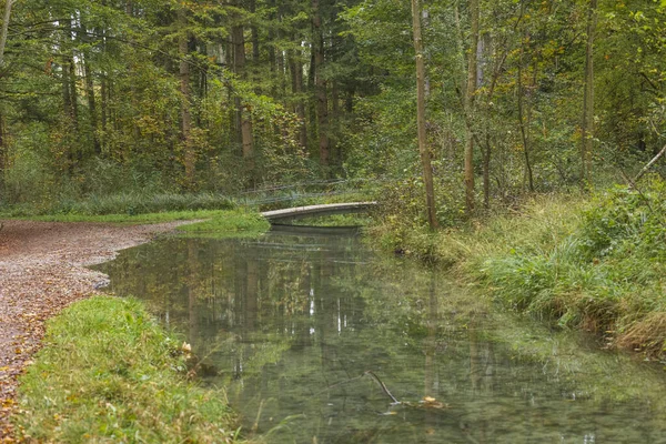 Brücke Mit Herbstblättern Über Einen Kleinen Bach Wald — Stockfoto