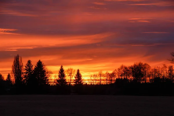 Цветной Восход Солнца Над Краем Леса — стоковое фото